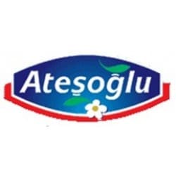 Atesoglu logosu