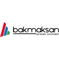 Baktiroglu logosu